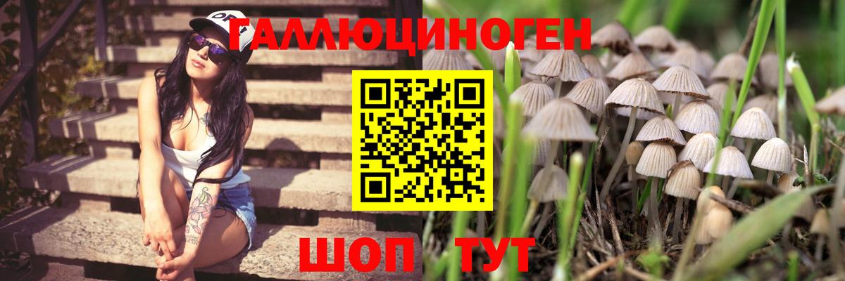 купить наркоту  Галлюциногенные грибы Psilocybine cubensis  Вход с VPN  Галлюциногенные грибы мухоморы  Подольск 